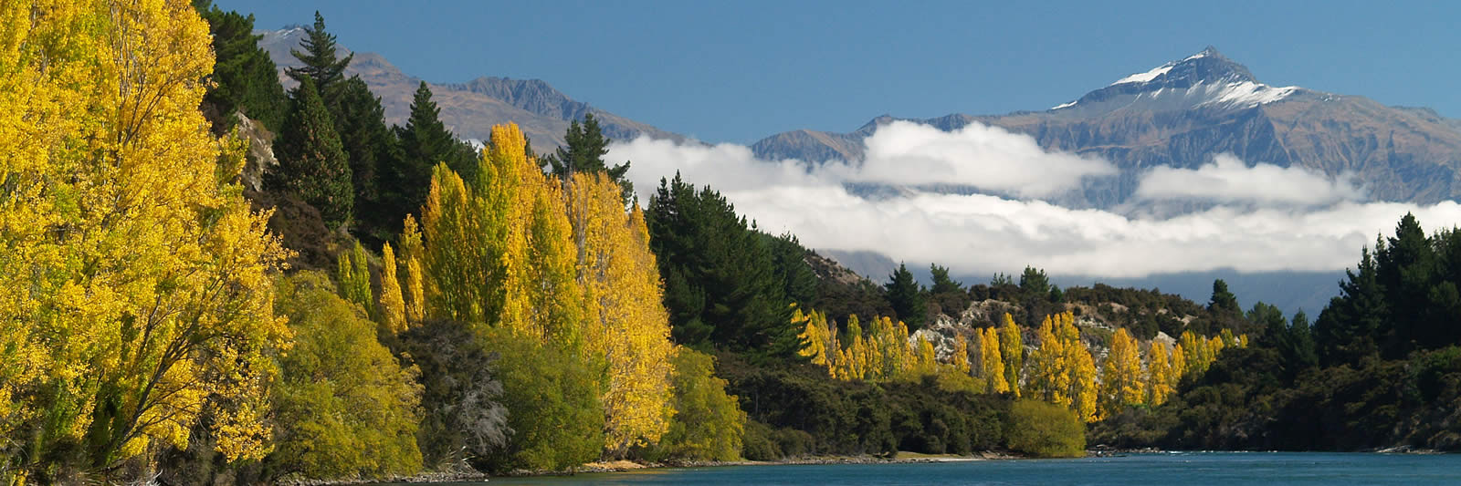 Outlet Track views on Eco Wanaka Guided Walks