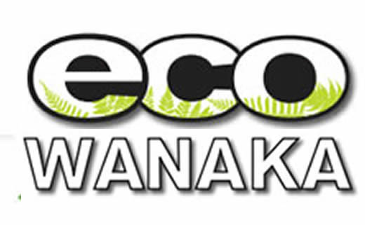 Eco Wanaka Adventures -Jetty next to Marina Map